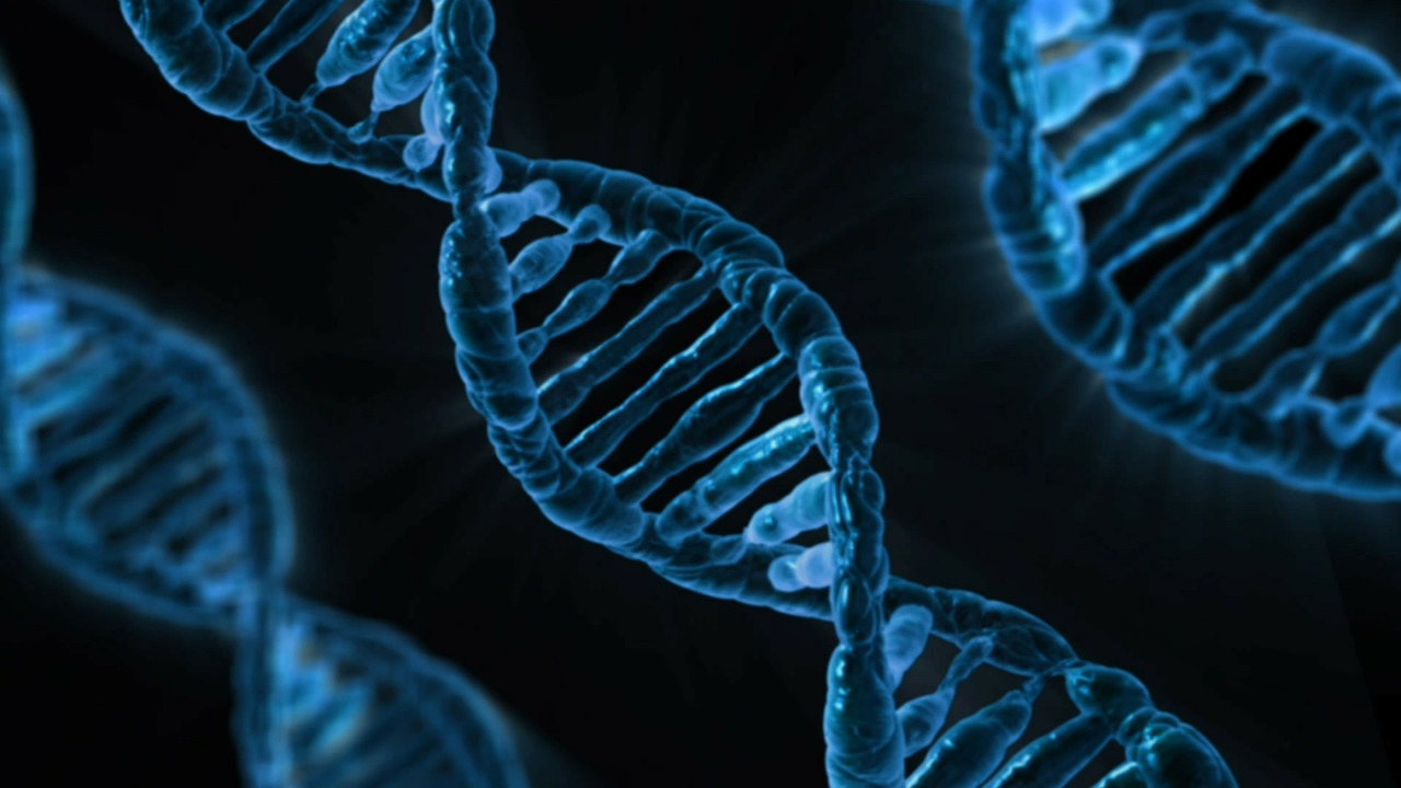DNA Test Inheritance: Care Worker Can Inherit Country Estate